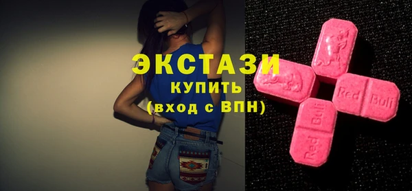 СК Богородицк