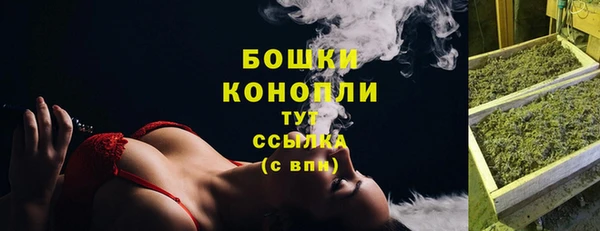 СК Богородицк
