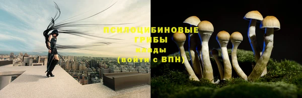 СК Богородицк