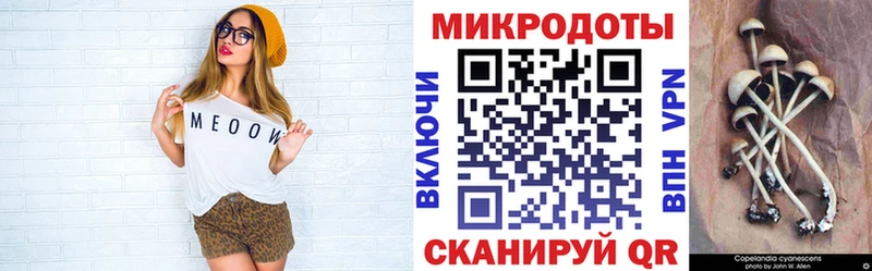 Псилоцибиновые грибы Psilocybine cubensis  Купить  Высоцк 